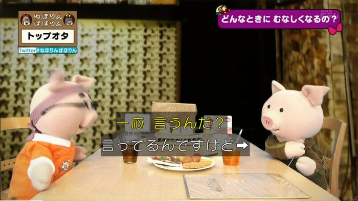 ねほりんぱほりんのキャプ365