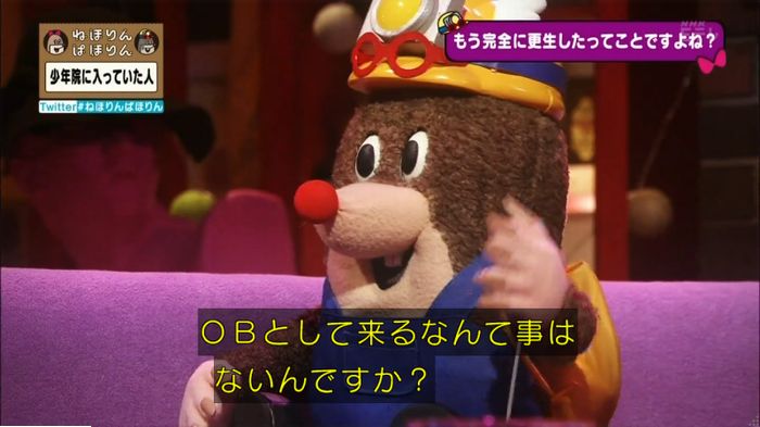 ねほりんぱほりんのキャプ428