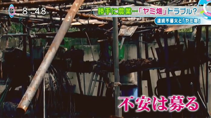 とくダネ!のキャプ62