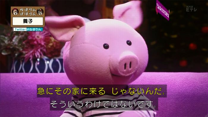 ねほりん 養子回のキャプ61