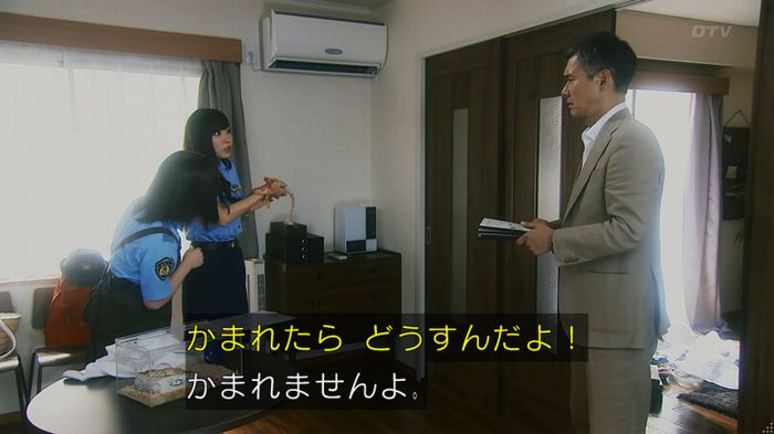 いきもの係 3話のキャプ11