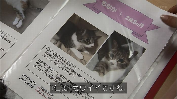 ウツボカズラの夢1話のキャプ439