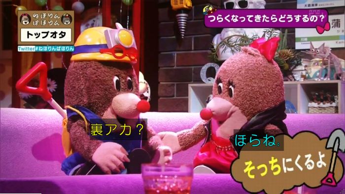 ねほりんぱほりんのキャプ415