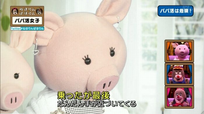 ねほりんぱほりんのキャプ300
