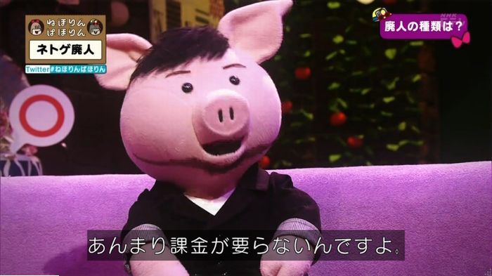 ねほりんネトゲ廃人のキャプ51