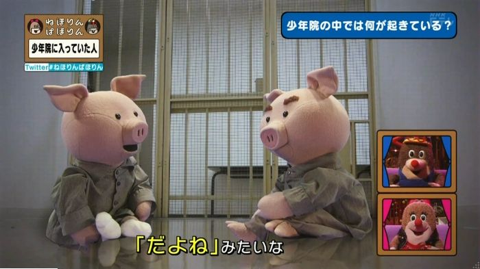 ねほりんぱほりんのキャプ146
