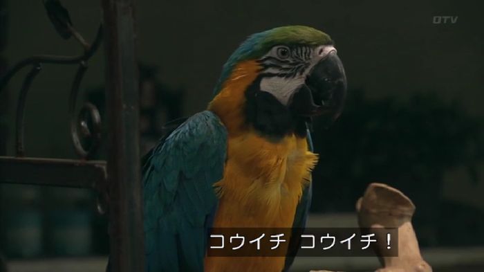 嘘の戦争のキャプ232
