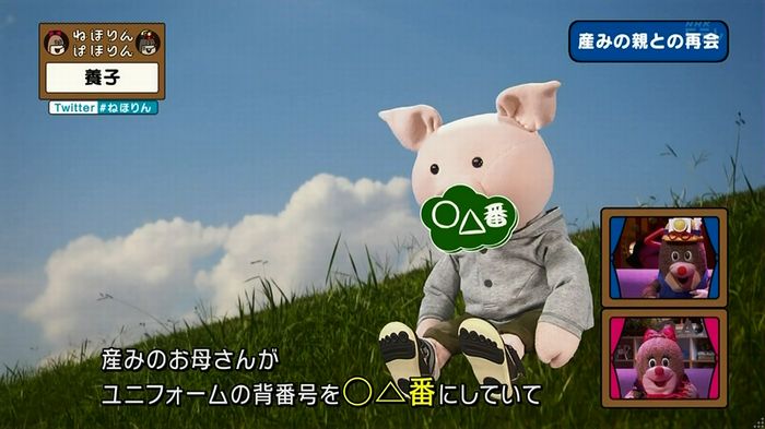 ねほりん 養子回のキャプ331