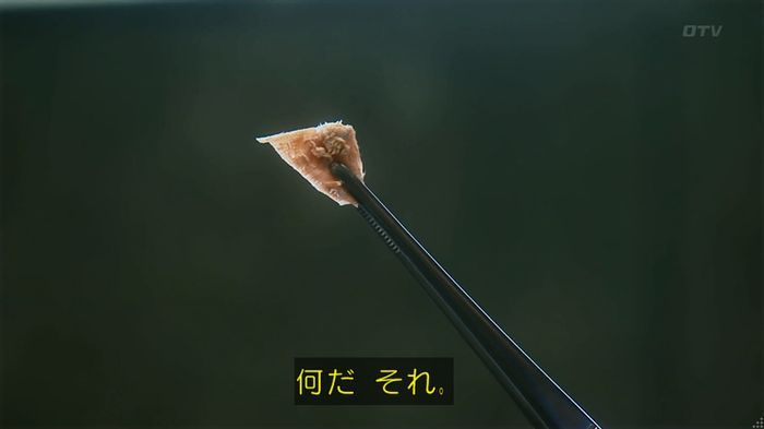 警視庁いきもの係 8話のキャプ560