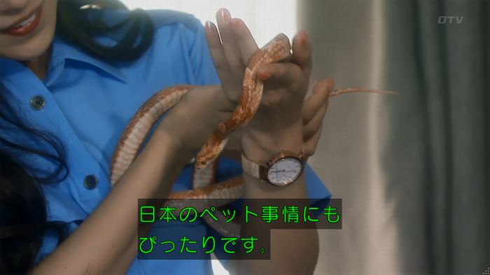 いきもの係 3話のキャプ15
