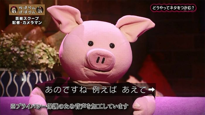 ねほりん 芸能スクープ回のキャプ30
