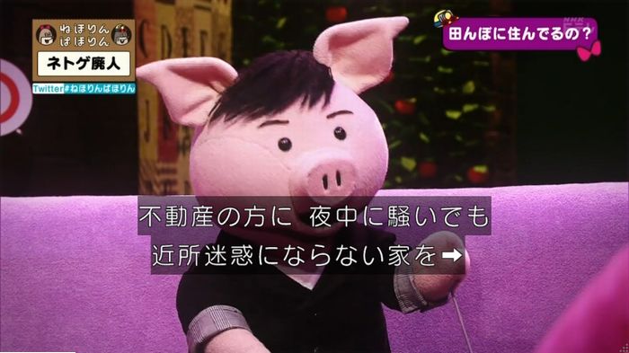 ねほりんネトゲ廃人のキャプ127