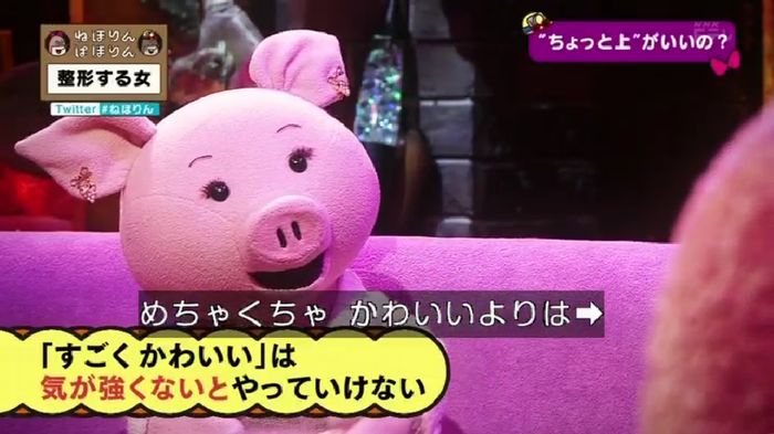 ねほりんぱほりんのキャプ400