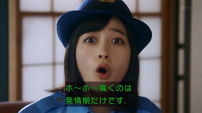 警視庁いきもの係 8話のキャプ447