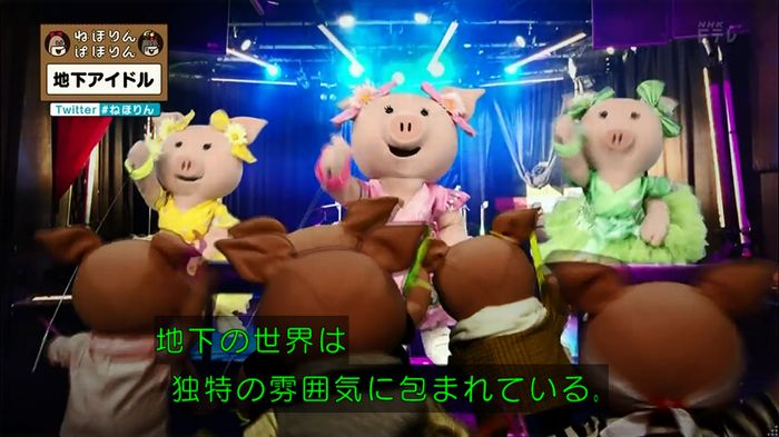 ねほりん 地下アイドル回のキャプ274