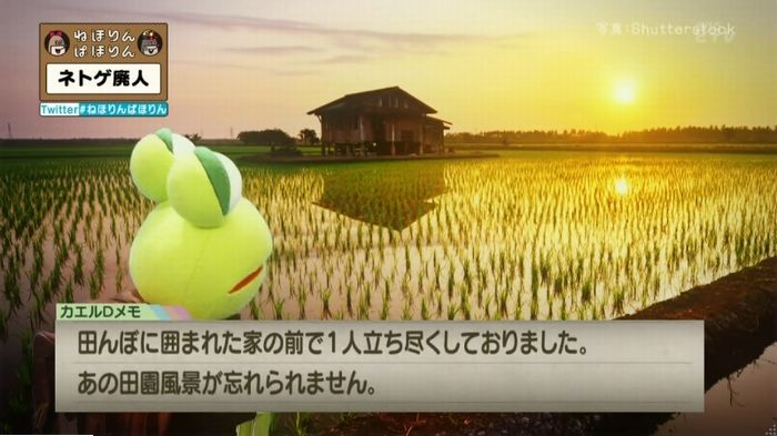 ねほりんネトゲ廃人のキャプ120