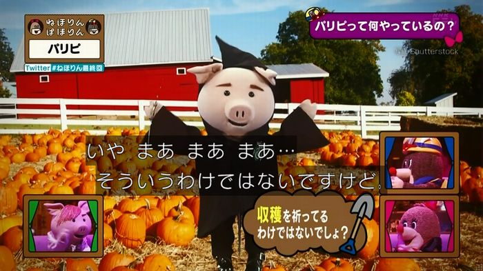 ねほりん 最終回のキャプ251