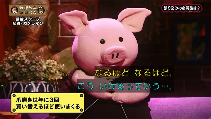 ねほりん 芸能スクープ回のキャプ211