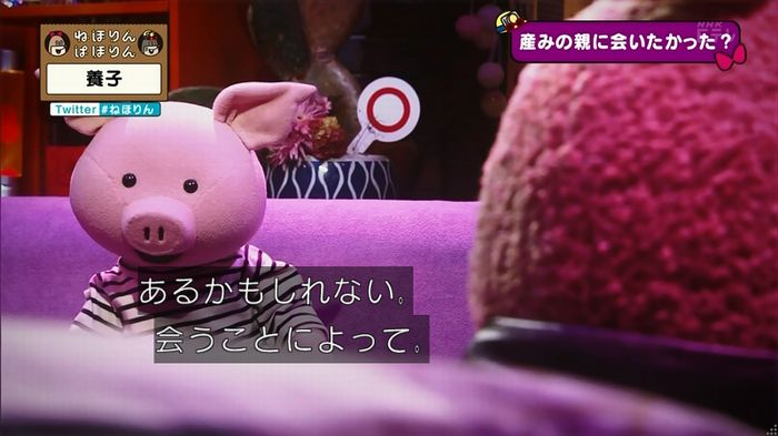 ねほりん 養子回のキャプ298
