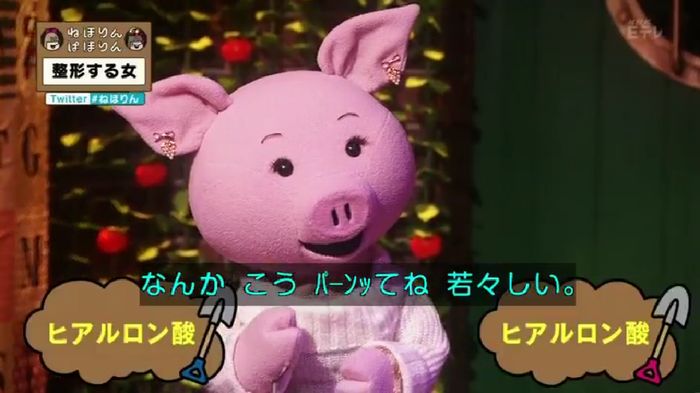ねほりんぱほりんのキャプ43