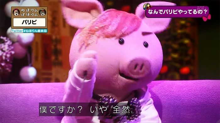 ねほりん 最終回のキャプ224