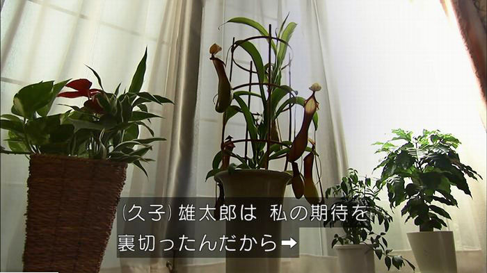 ウツボカズラの夢6話のキャプ600