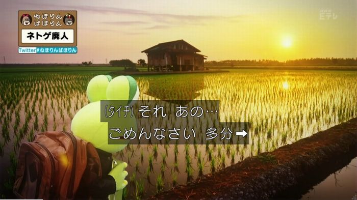 ねほりんネトゲ廃人のキャプ121