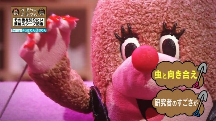ねほりんぱほりんのキャプ503