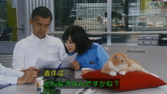 いきもの係 3話のキャプ96