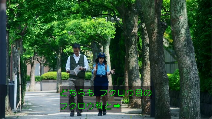 警視庁いきもの係 8話のキャプ143