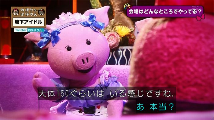ねほりん 地下アイドル回のキャプ63