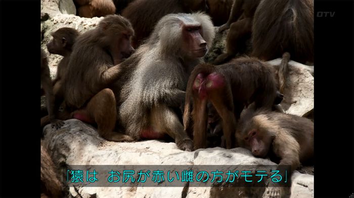 人は見た目が100パーセントのキャプ452