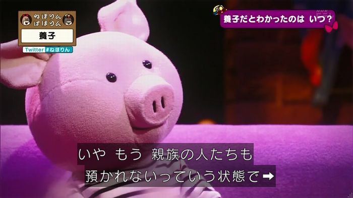 ねほりん 養子回のキャプ40