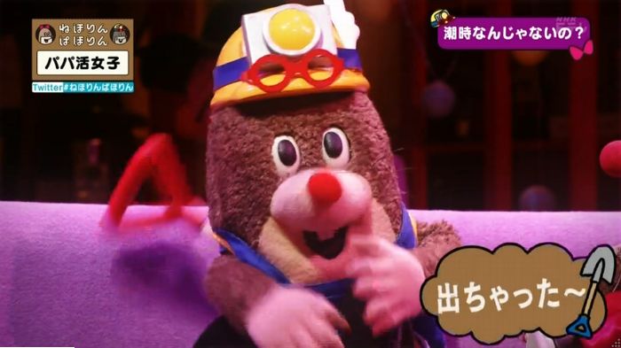 ねほりんぱほりんのキャプ360