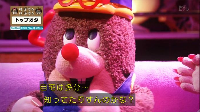 ねほりんぱほりんのキャプ34