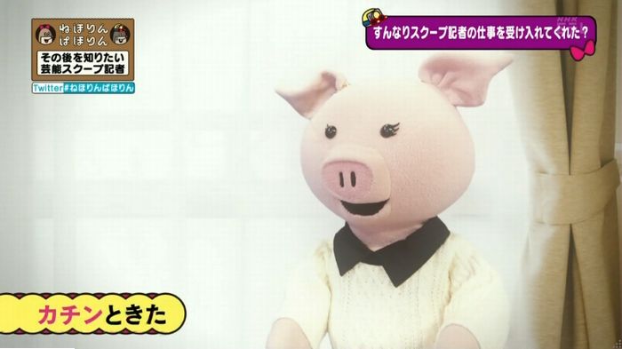 ねほりんぱほりんのキャプ415