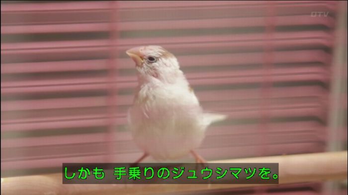 397