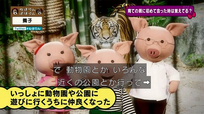 ねほりん 養子回のキャプ59