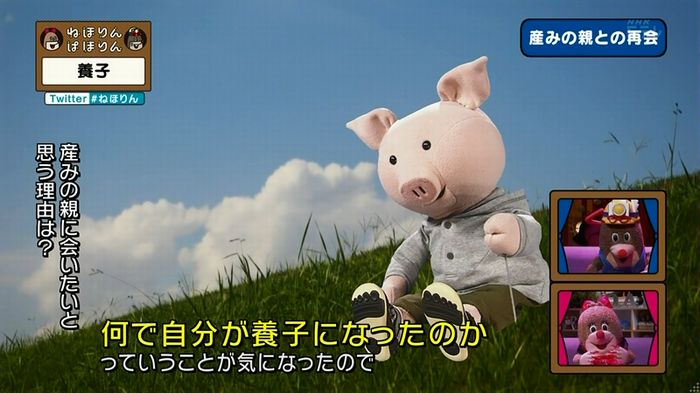 ねほりん 養子回のキャプ313