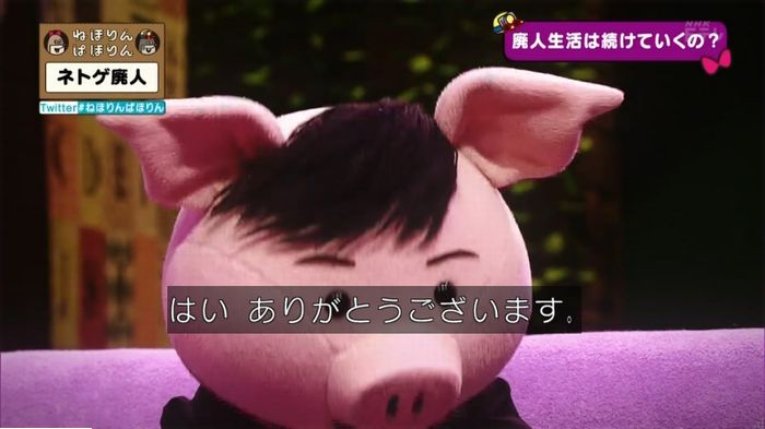 ねほりんネトゲ廃人のキャプ474