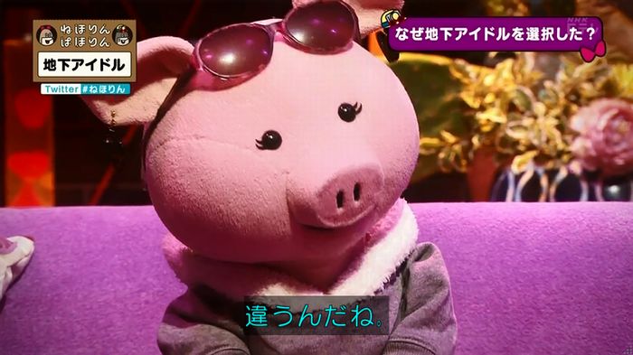 ねほりん 地下アイドル回のキャプ273