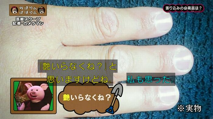 ねほりん 芸能スクープ回のキャプ209