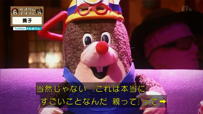 ねほりん 養子回のキャプ276