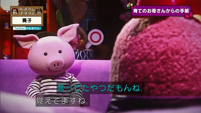 ねほりん 養子回のキャプ436