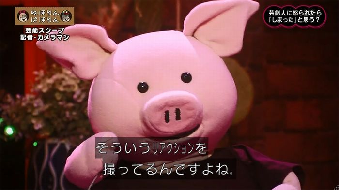 ねほりん 芸能スクープ回のキャプ271