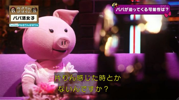 ねほりんぱほりんのキャプ374