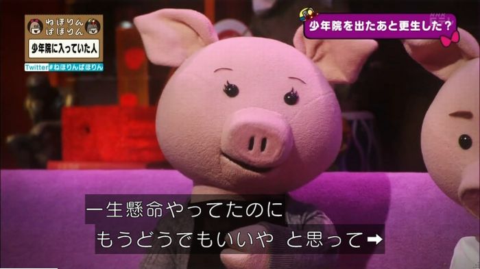 ねほりんぱほりんのキャプ226