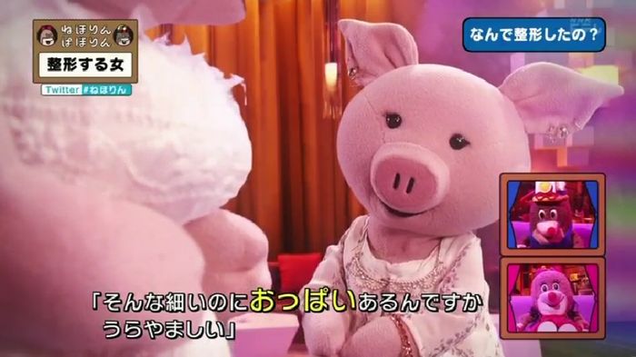 ねほりんぱほりんのキャプ163