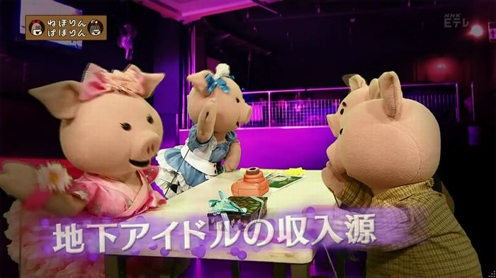 ねほりん 地下アイドル回のキャプ18