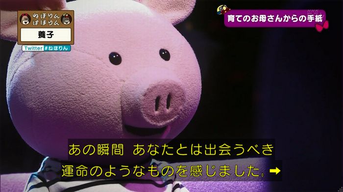 ねほりん 養子回のキャプ401